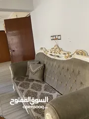  4 تخم قنفات نظيف