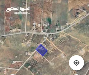  1 للبيع مزرعه في صروت 4146 م مع بيت ريفي حوض المرج الاصفر من اراضي الزرقاء قريبه من الشارع الرئيسي