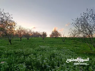  7 مشروع سلحب الاول