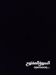  15 حساب بلوكس فروت للبيع  لفل 550  فواكه نادرة  فلوس 2,500,000  توزيع ممتاز  قابل للتفاوض