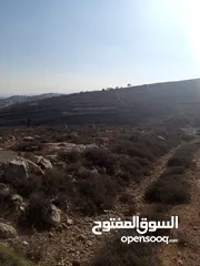  1 ارض للبيع في دير جرير