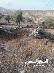 3 ارض للبيع في صوريف / خلة ابو سليمان