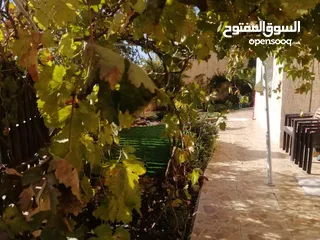  4 شقة مميزة للبيع في تلاع العلي 240 متر داخلي 160 متر خارجي