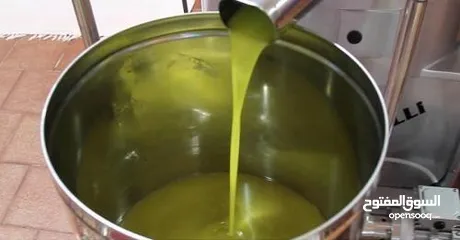  6 زيت زيتون بلدي مكفول للبيع