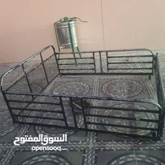  1 اصياخ بيكاب تكوما