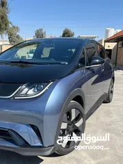  4 Byd bolphin knight