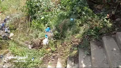  2 أرض قوشان مستقل 200 متر سكن