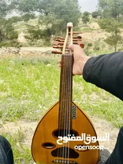  2 عود عراقي للبيع