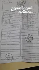  10 عماره للبيع