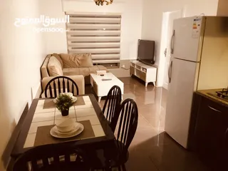  12 شقه مفروشه غرفه نوم واحده في موقع هادئ ومميز