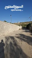  2 مزرعة وشاليه في جرش