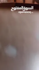  3 طيور كوكتيل فراخ للزق اليدوي