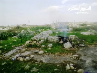  9 1000 متر مربع في اكتابا للبيع