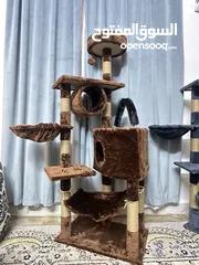  30 شجرة التسلق واللعب للقطط  Climbing and playing tree for cats