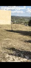  4 ارض تصنيف بي