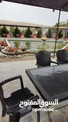  2 مطعم اسماك طازجة واستراحة بمكان مميز للضمان