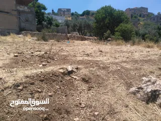  13 ارض للبيع في عجلون (صخرة)