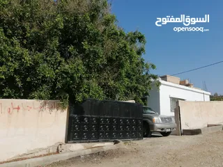  4 بيت مزرعة (ترخيص سكن) مزروعة شجر مثمر مع بير في منطقة الاغوار الوسطى ظهرة الرمل