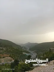  2 بيت العز والكرم