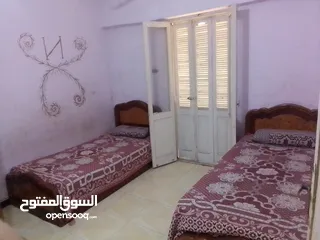  4 شقه للايجار مفروش دمنهور .أمام الجامعه.مساكن الابعاديه