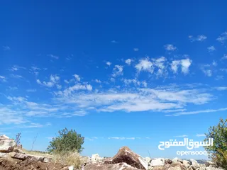  8 مزرعه للبيع في جرش سوف منطقه الظهره الشماليه