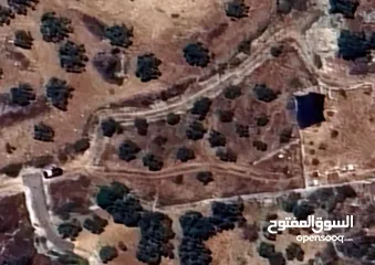  3 ارض للبيع فى عصيرة الشمالية، طابو نابلس، كوشان مستقل لخمسة اسخاص، كل شخص يضع سنسال على حصته