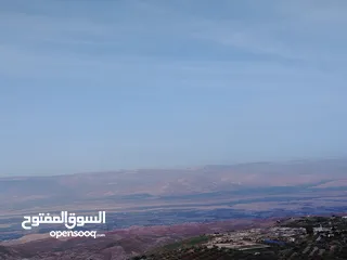  2 مزرعة زيتون ملوكية اطلالة ع الغرب و جبال فلسطين ع ثلاث شوراع قرب شارع الستين ثغرة السلطان