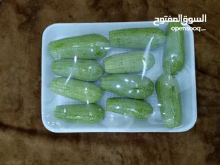  2 كوسى محفورة جاهزة 10 حبات 1.25 و 20 حبة 2.25