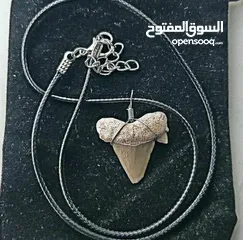  8 Italian silver necklace with wire wrapped ancient shark tooth fossil + free leather rope