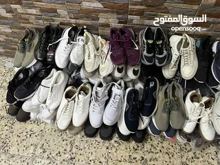  1 شروة احذيه مكس عدد 113جوز