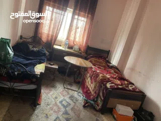  1 شاغر لشخص في غرفة مشتركة