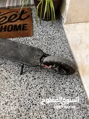  3 سكوتر شاومي