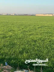  2 ارض للبيع الرمثا شرق جامعة العلوم  استثمارية