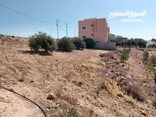  29 لقطة ؛ أرض زراعية مع غرفة على حدود الطفيلة والكرك ، تصلح للاستثمار كمزرعة سياحية أو منتجع سياحي