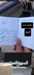  4 كلب هاسكي سايبيري