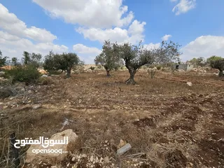  5 قطعة ارض للبيع مساحة 878 متر من ارض بيت قاد من المالك مباشرة.. الارض مطلة وكاشفة