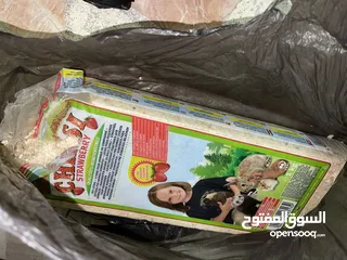 4 هامستر ذكر وانثى +قفص 3 طوابق و مستلزماته + اكل + نجارة الخشب