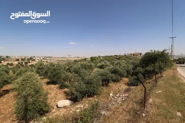  5 (1)ارض للبيع في اجمل مناطق الأردن الفحيص _حوض أبو ركبه _بالقرب من دابوق