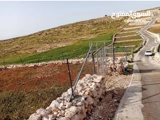  6 قطعتين مجاورتان للبيع في ضاحية النسيم دومه /دورا اول الظاهريه ، تصنيف الف بناء طابو