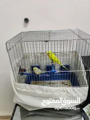  1 جوز طيور حب مع القفص