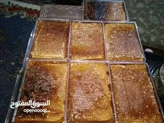  2 عسل بلدي ومكفول