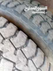  6 قلاب فطس للبيع