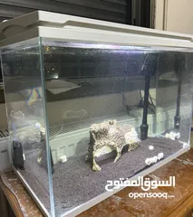  2 حوض سمك للبيع
