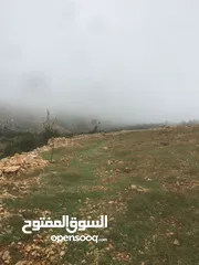  24 فرصة استثمارية! أرض زراعية مميزة بسعر مغري و بالقرب من أحراش الدولة للمزيد من المعلومات اقرأ الوصف