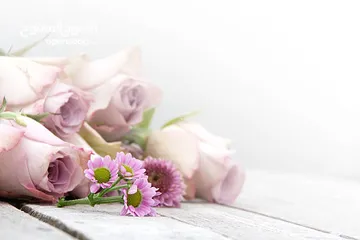  12 صور على الحائط (ستيكرز)