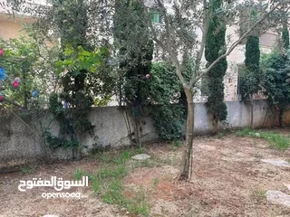 4 شقه البيع مع حديقه قرب المنا ره