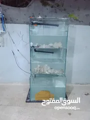  8 حوض سمك مع كامل معدادو