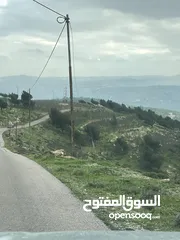  10 ارض للبيع في جرش مشروع عنيبه 17قطعة 3500متر بقوشان مستقل واصل الخدمات كامله اطلاله بنوراما مميزه جدا
