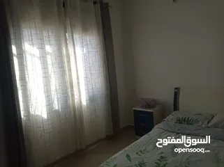  13 شقه مفروشه تؤجر شهرياً