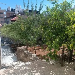  1 شقة صغيرة مستقلة للطالبات
